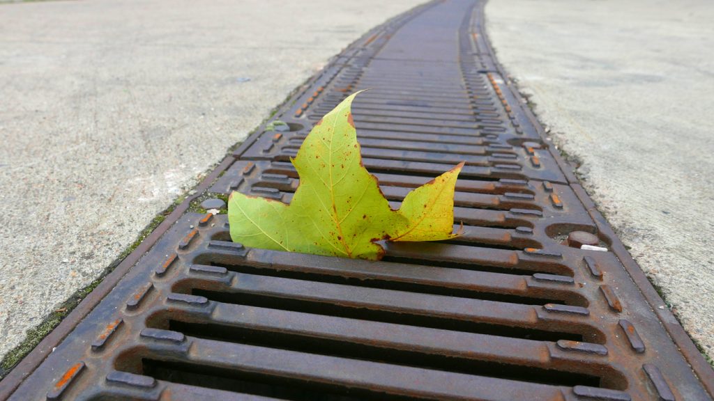 leaf on drain